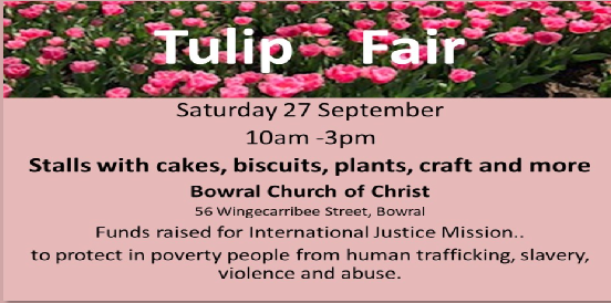 Tulip Fair