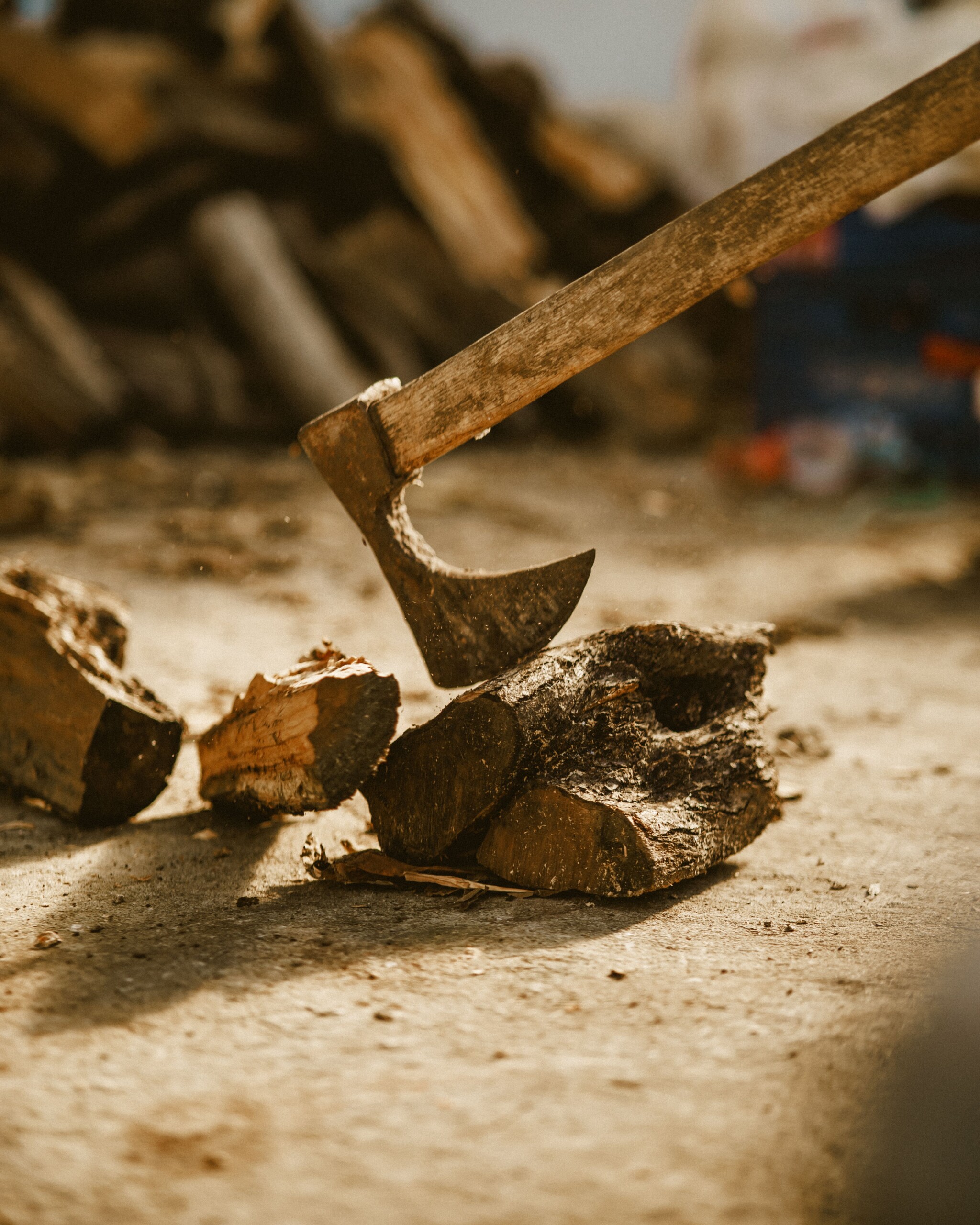 woodcutter